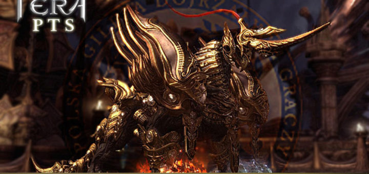 PTS TERA Online - IX Kohorta