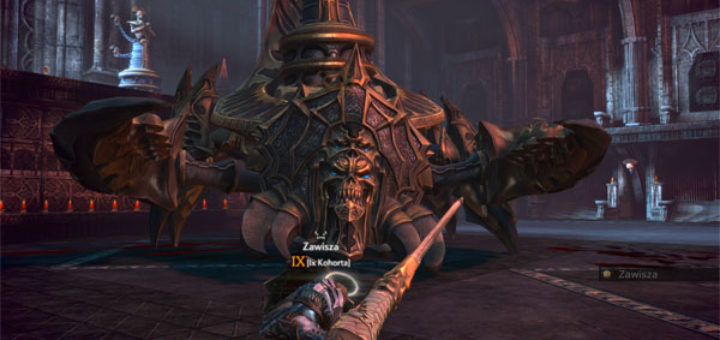 IX kohorta TERA Online